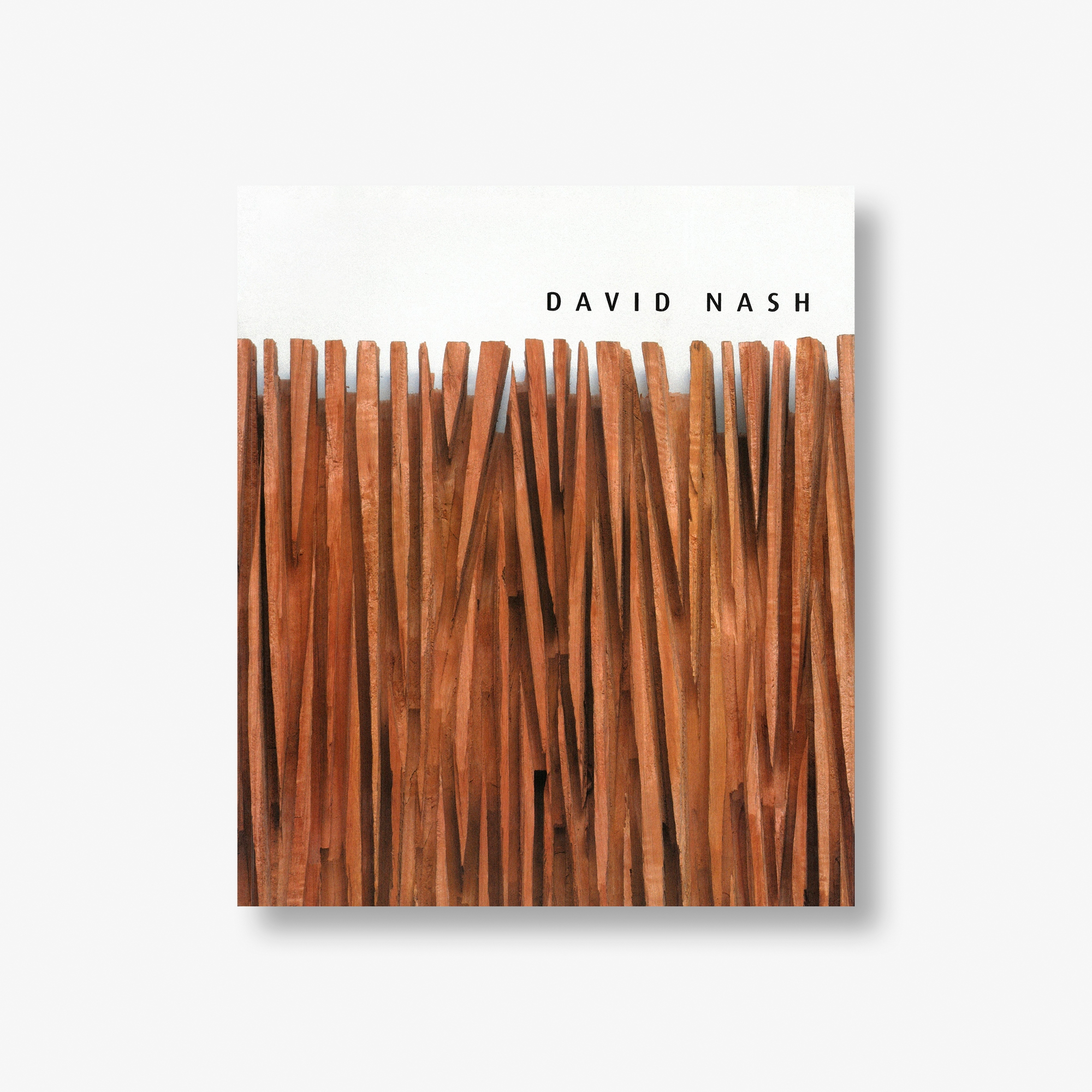 David Nash