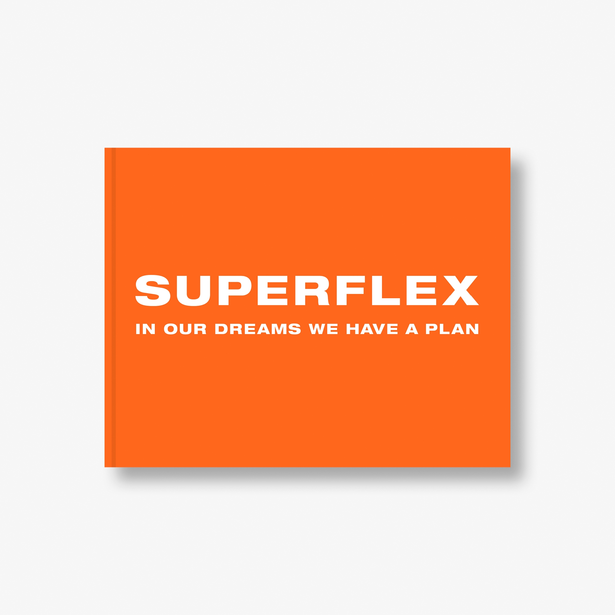 SUPERFLEX: In our dreams we have a plan
