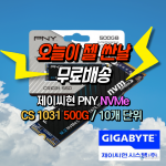 ⚡슈퍼 세일⚡10개 단위⚡ [제이씨현시스템] PNY CS1031 Gen3 M.2 NVMe [500GB QLC]