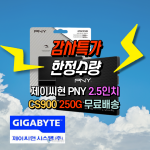 ⚡슈퍼 세일⚡10개 단위⚡[제이씨현시스템] PNY CS900 SATA 2.5인치 [250GB TLC]