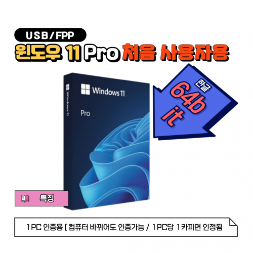 [마이크로소프트] Windows 11 Pro 처음사용자용 패키지(FPP) [한글/설치USB포함]