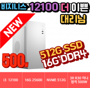🎯 더이쁜 대리님 P300 🎯 비지니스 UP 12100 H2 [HDMI 2개 동시출력] [16G / NVME 500G / H610M / 정격 500W]