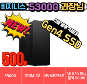 🎯과장님🎯 비지니스 5300G Gen.4 HDV [HDMI+DVI+RGB] [ 8G / NVMe 256G / A520M / 정격 500W]