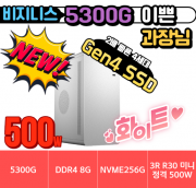 🎯이쁜 과장님🎯 비지니스 5300G 화이트 Gen.4 HDV [HDMI+DVI+RGB] [ 8G / NVMe 256G / A520M / 정격 500W]