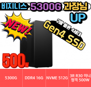 🎯업 과장님🎯 비지니스 5300G UP! Gen.4 HDV [HDMI+DVI+RGB] [ 16G / NVMe 500G / A520M / 정격 500W]