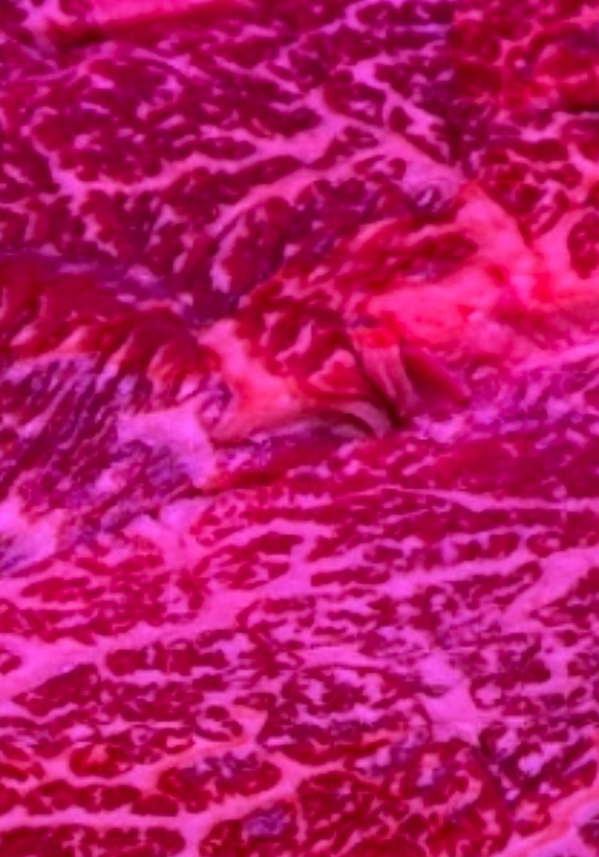 IMG_6737.jpeg