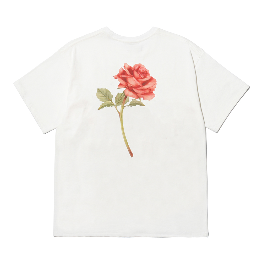 ROSE TEE  OFF WHITE