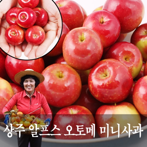 상주 더상큼 알프스 오토메 미니사과 1.3~2kg 빨간사과