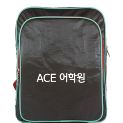 학원가방 타이벡 베네사 가벼운 방수 학원백팩가방 BG-3090 / 50개부터구매가능