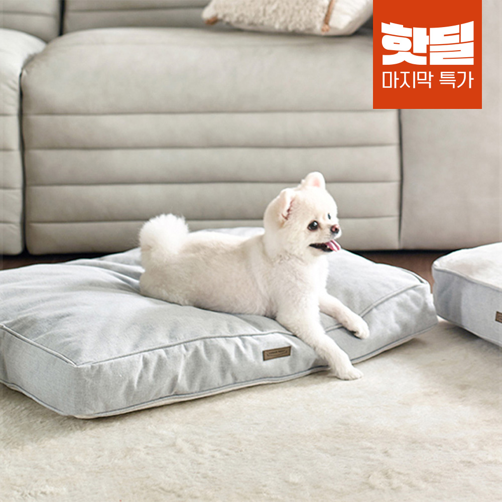 ★한정수량★동서가구 어반네스트 포시즌 펫 양면 방석 침대 쿠션 강아지 고양이 애견
