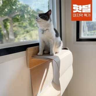 ★핫딜★[30개 한정] 동서가구 펫 펠트 행잉 해먹 고양이 창문 선반