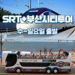 SRT 타고 떠나는 부산자유여행(부산시티투어버스 1일권 포함)
