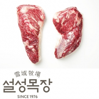 [설성한우] 무항생제 한우 삼각살 1등급