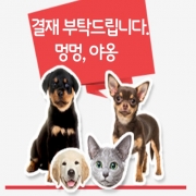 평화의광장-05/21일