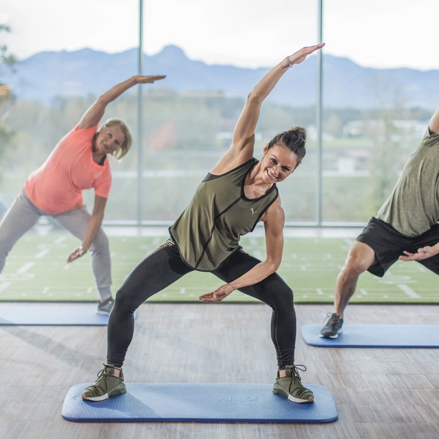[AIREX] 에어렉스 피트니스 120 FITNESS 필라테스 요가 매트