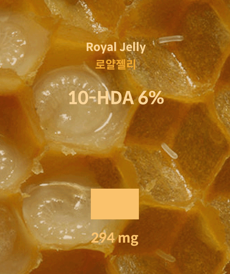 [메가맥스] 로얄제리 로얄젤리 365정