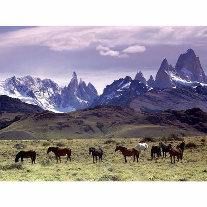 파타고니아 DAS 프리마로프트 파카-남/Patagonia DAS Parka