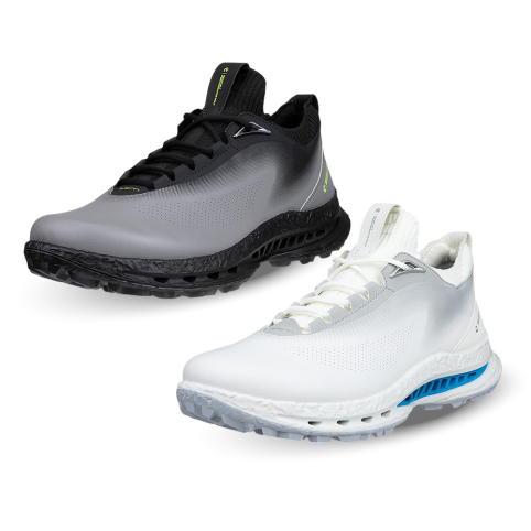 ECCO 에코코리아 GOLF 바이옴(BIOM) C5 GTX 132604 남성골프화