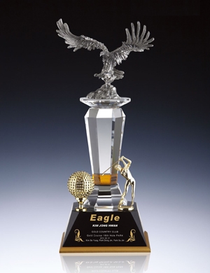 Eagle-TA/T TC-710
