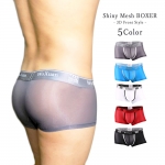 [GT] Shiny Mesh Boxer