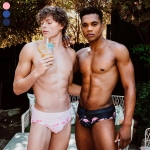 [GT] FLAMINGO SWIM BRIEFS