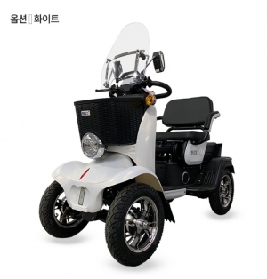 2인승스쿠터 단단니8 화이트 (전동차)
