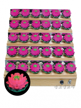 신신연꽃인등 (계단식) <BR> (30불/50불)