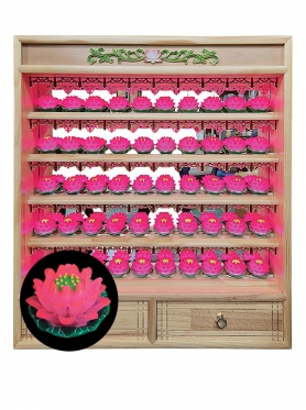 신신연꽃인등 (30/50불)