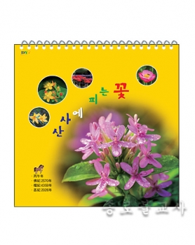 2026 산사에피는꽃