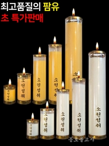 잘탄다 식물성팜초(1,3,5,7,15일초)