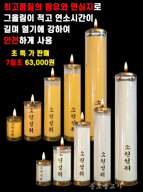 잘탄다 식물성팜초(1,3,5,7,15일초)
