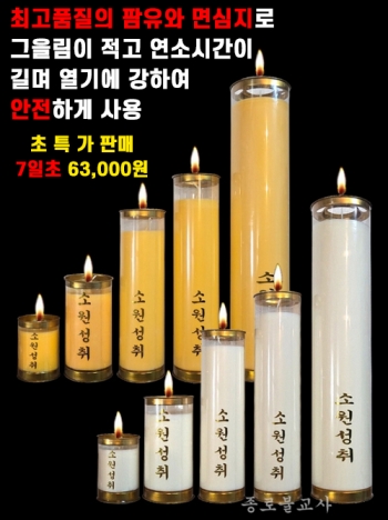 잘탄다 식물성팜초(1,3,5,7,15일초)