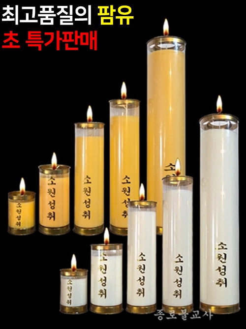 잘탄다 식물성팜초(1,3,5,7,15일초)
