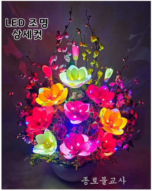 LED매화목단(컬러)