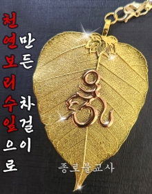 천연보리수옴연잎차걸이