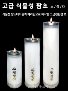 UN고급 식물성 팜초