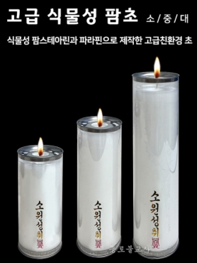 UN고급 식물성 팜초