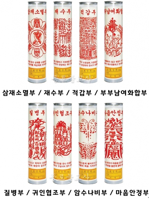 고급식물성 팜부적초 7일초 (20종)