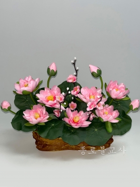 수반연꽃 (분홍)