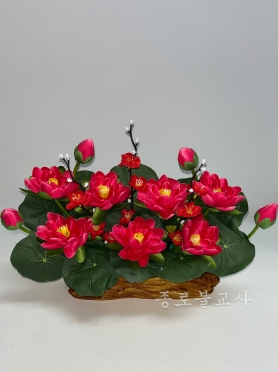수반연꽃 (빨강)