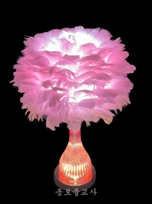 선녀깃털등 (분홍)