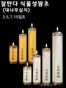 잘탄다 식물성팜초(3,5,7,15일초)-대나무심지