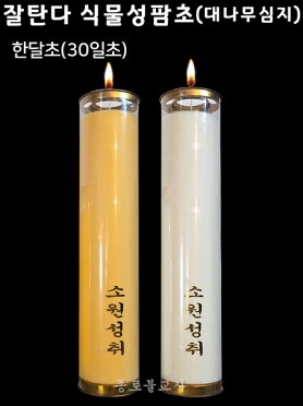 대나무심지 잘탄다 식물성팜초(한달초-30일초)