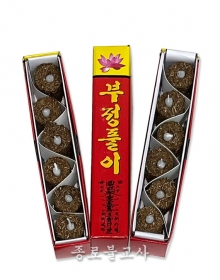 부정풀이