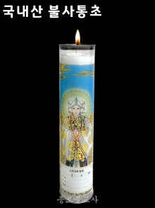 국내산불사통초