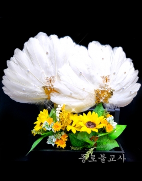 깃털선녀부채(해바라기)