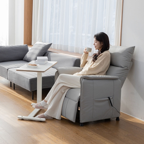 핏쳐 1인용 전동 리클라이너 소파 ERE1