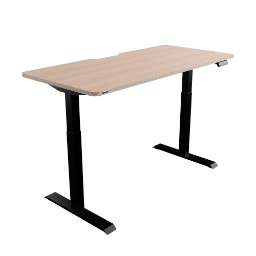 핏쳐 고강도 듀얼 스퀘어 프레임 전동식 모션데스크 E2