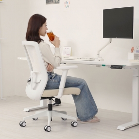 핏쳐 데스크 체어 컴퓨터 책상 의자 CB1