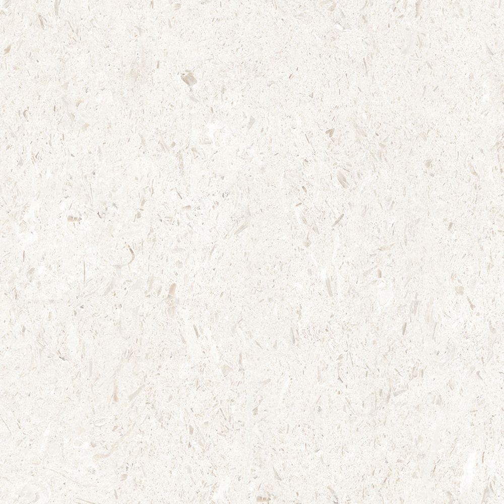 <small>600x600</small>미랄리스 젯소 8.5T